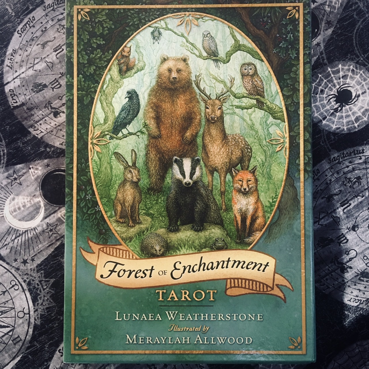 1C66DC6B-89BC-4385-814B-A1A76A09C813