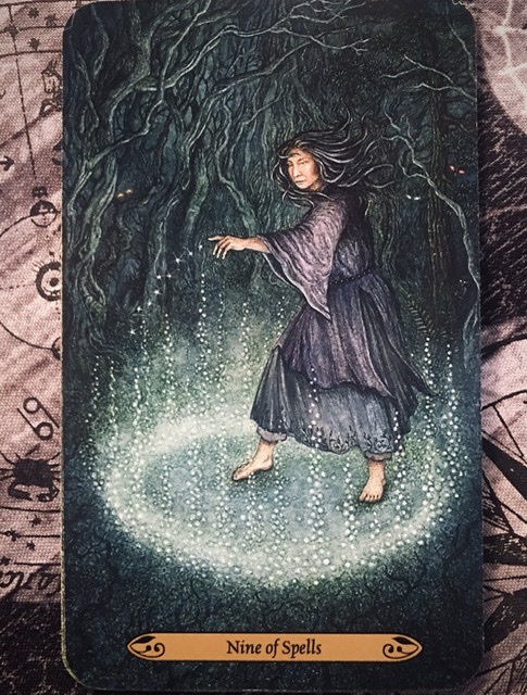 8C09EF53-801F-4A2A-BEDD-53757943F850