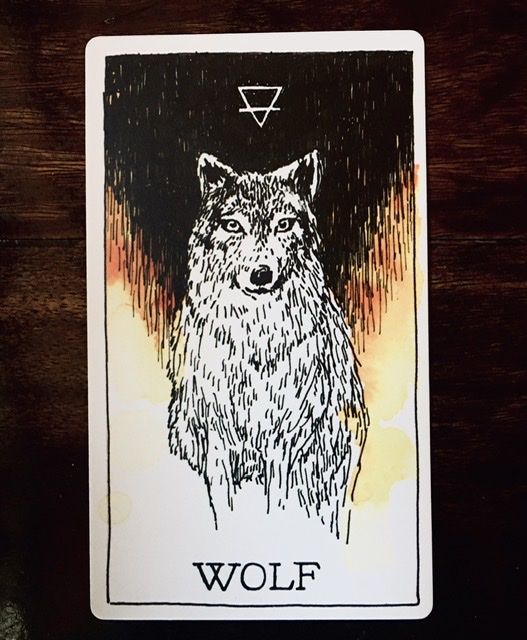 0B8A701E-4CCB-49BF-AE21-3CBFCF7E71D8