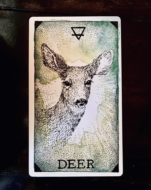 24D9AFB9-435F-4D44-9156-68FED9AAF428