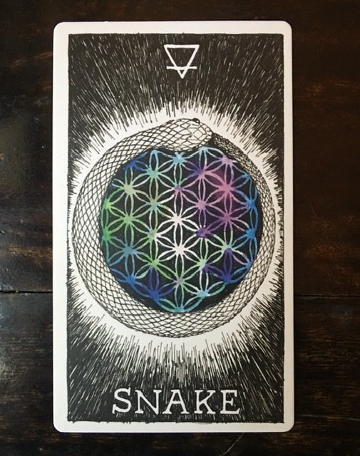 37E0E552-9426-4169-A6D3-116B08B1B058