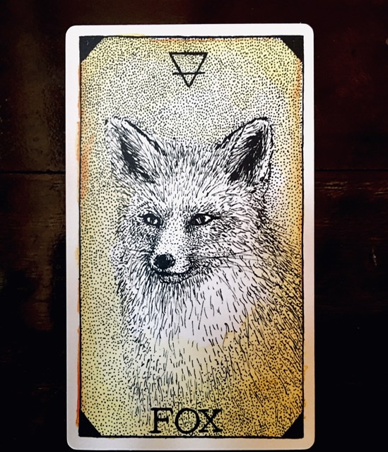 63E8021F-E548-40D3-A5F9-1CBBE4049430