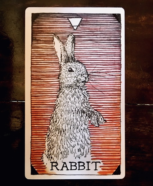 82B0848A-D428-4AA5-BF7B-6347DB0611CF