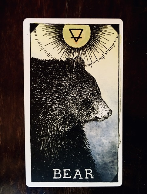 CF53DC9A-8A51-445F-BB26-08FBD70DE4F6