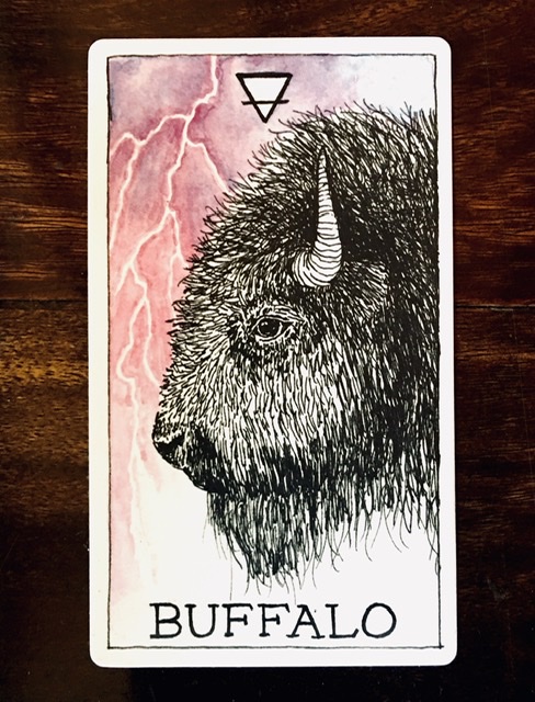 EE244A41-2512-4D57-B5A6-17344FE8D6D5